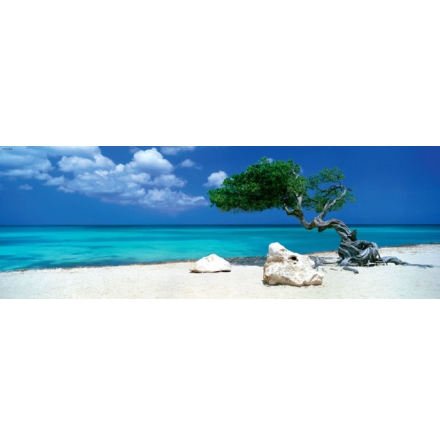 AvH: Divi Divi Tree (1000 pieces panorama)