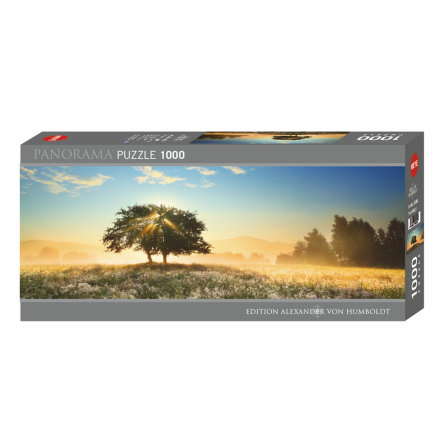 AvH: Play of Light (1000 pieces panorama)