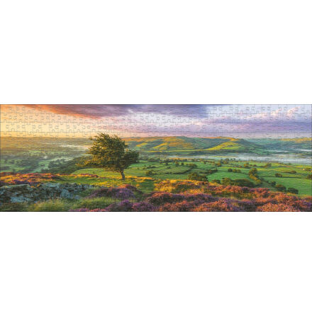 AvH: Purple Bloom (1000 pieces panorama)